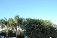 Appartamento uso turistico Villa Barbara - B&B Carini