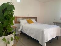 El Chirris Tzanjay - B&B