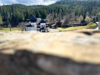 Pensiunea La Brazi - Ferienwohnung Mănăstirea Humorului