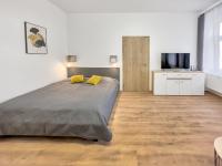 Apartment LUKAS 1 - B&B Karlovy Vary