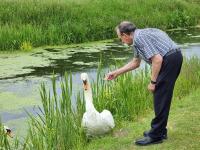 Burnt House Farm - B&B Highbridge