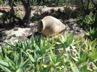 Monolocale (2 Adulti)