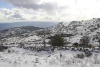 Primor Serra AL - B&B Covilhã
