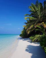 Alesara Guest House - B&B Thoddoo