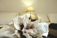 Sunrise cottage - B&B
