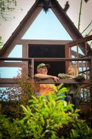 Chalets en Santa Elena en medio del Bosque - Ferienwohnung