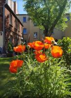 City Appartement mit Garten, zentral und trotzdem ruhig - Chambres d'hôtes Cottbus