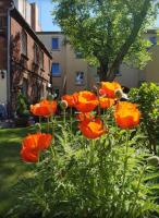 B&B Cottbus - City Appartement mit Garten, zentral und trotzdem ruhig - Bed and Breakfast Cottbus