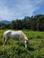Encanto da Pedra - B&B Visconde de Mauá