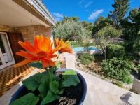 Villa Ilaria - B&B