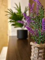CASA Holiday Apartments & Parking ! - B&B