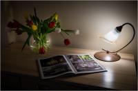 Apartamento de 2 dormitorios