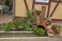 Wellnest am grünen Band - Ferienwohnung Abbenrode