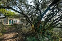 Ca Del Vajo Valpolicella House - Bed and Breakfast