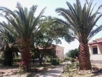 Bird Watching Oasis Skala Kallonis - B&B Skala Kallonis