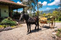 La Lomita - B&B La Calera