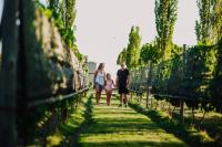 Posada La Victoria - B&B San Rafael