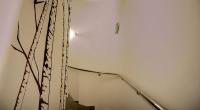 Penzion Na Dlouhé - B&B