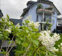Zum schönen Ausblick - Ferienwohnung