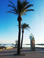 Studio - Vue sur Mer