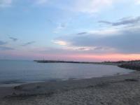"Le Mireille" Arles Proche Luma - B&B