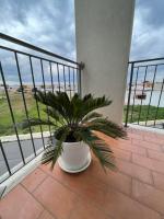 LA DIMORA DEI SOGNI - B&B Mesagne