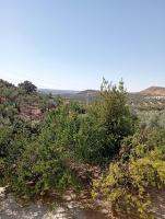 Casa Rural Olivares - B&B Villanueva de Algaidas