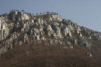 Vilă Turistică Floare de Colt - Bed and Breakfast Băile Herculane