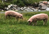 Appartamento con Balcone