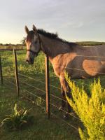 Casa en Haras Bettina