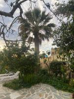 PalmTree House - Ferienwohnung