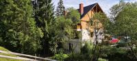 Arnica Montana - B&B Arieşeni
