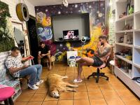 Toca da Mona Roots Hostel - B&B Vitória