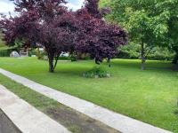 Lo de Andre - B&B Lago Puelo