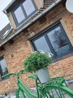 B&B Neubukow - Strandhaus - Bed and Breakfast Neubukow