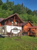 Vila Pietricica Craiului - B&B Sătic