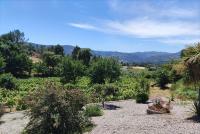 Quinta da Paixão - Bed & Breakfast - B&B Pedraça