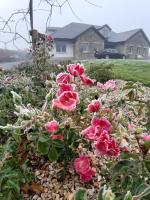 Killossy Lodge - B&B