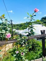 Ventosa HomeFarm - Venuestay - B&B Kon Von Kla