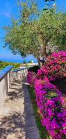 B&B Ischia - Appartamenti Luongo - Bed and Breakfast Ischia