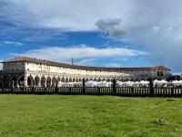 Boutique House Alle Loggie Palladiane di Villa Contarini - Chambres d'hôtes Piazzola sul Brenta