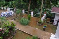 Papaya Guesthouse - B&B