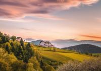 Bliżej Nieba - B&B Skrzydlna