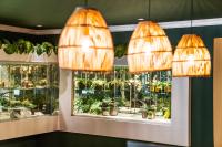 Last Word Constantia - Bed and Breakfast Kaapstad