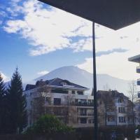 Vie en Rose Parking 2 min du Lac - Bed and Breakfast Annecy