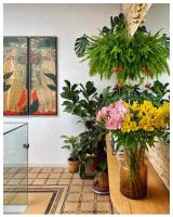 Botánico Casa Rural - B&B Arcos de la Frontera