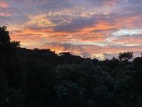 Treehouse Holiday home - B&B Paihia