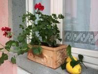 Il Giardino Segreto - Ferienwohnung