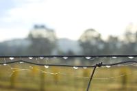 Villa mit 1 Schlafzimmer