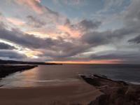 Studio with Garden View